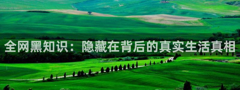 四月与五月小说：全网黑知识：隐藏在背后的真实生活真相